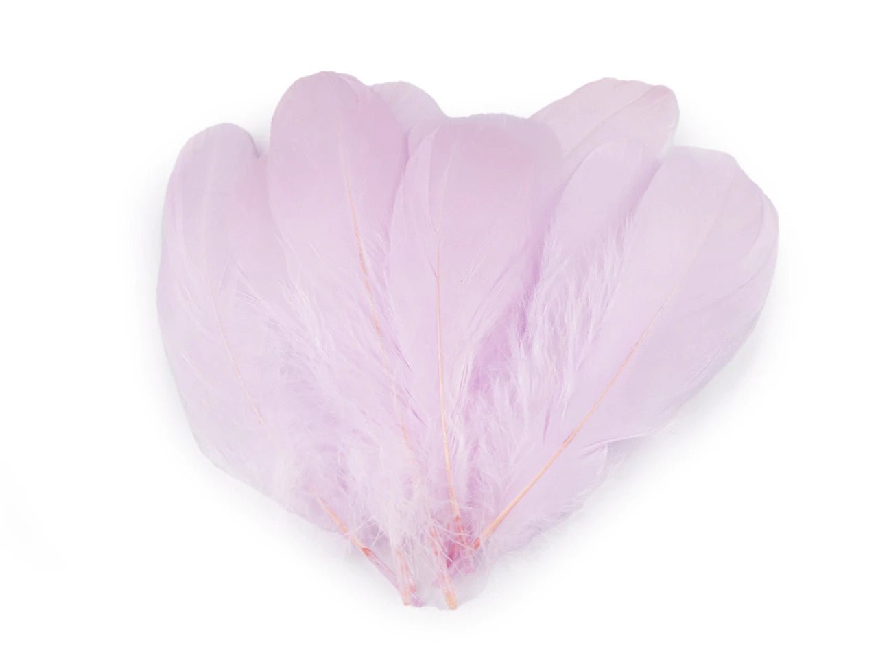 Goose feathers (14 - 18 cm) - light lilac