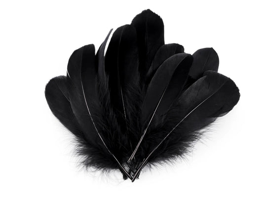 Goose feathers (14 - 18 cm) - black