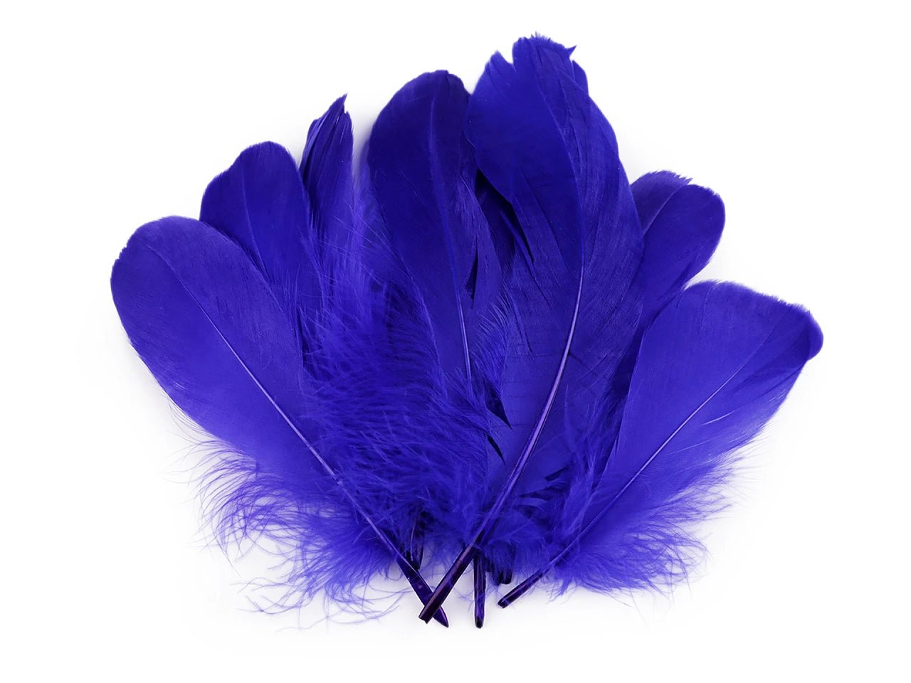 Goose feathers (14 - 18 cm) - cornflower blue