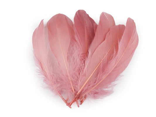 Goose feathers (14 - 18 cm) - dusty pink