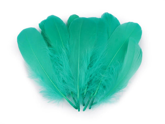 alt
Goose feather (14 - 18 cm) - greenish