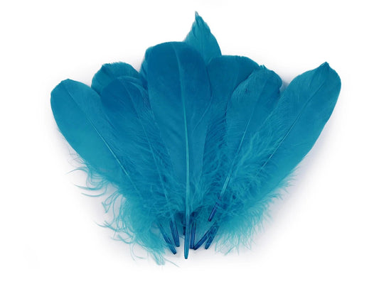Goose feathers (14 - 18 cm) - blue turquoise