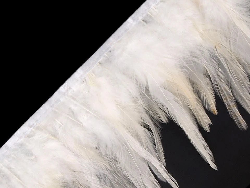 Feather ribbon (rooster) 12 - 17 cm wide - white