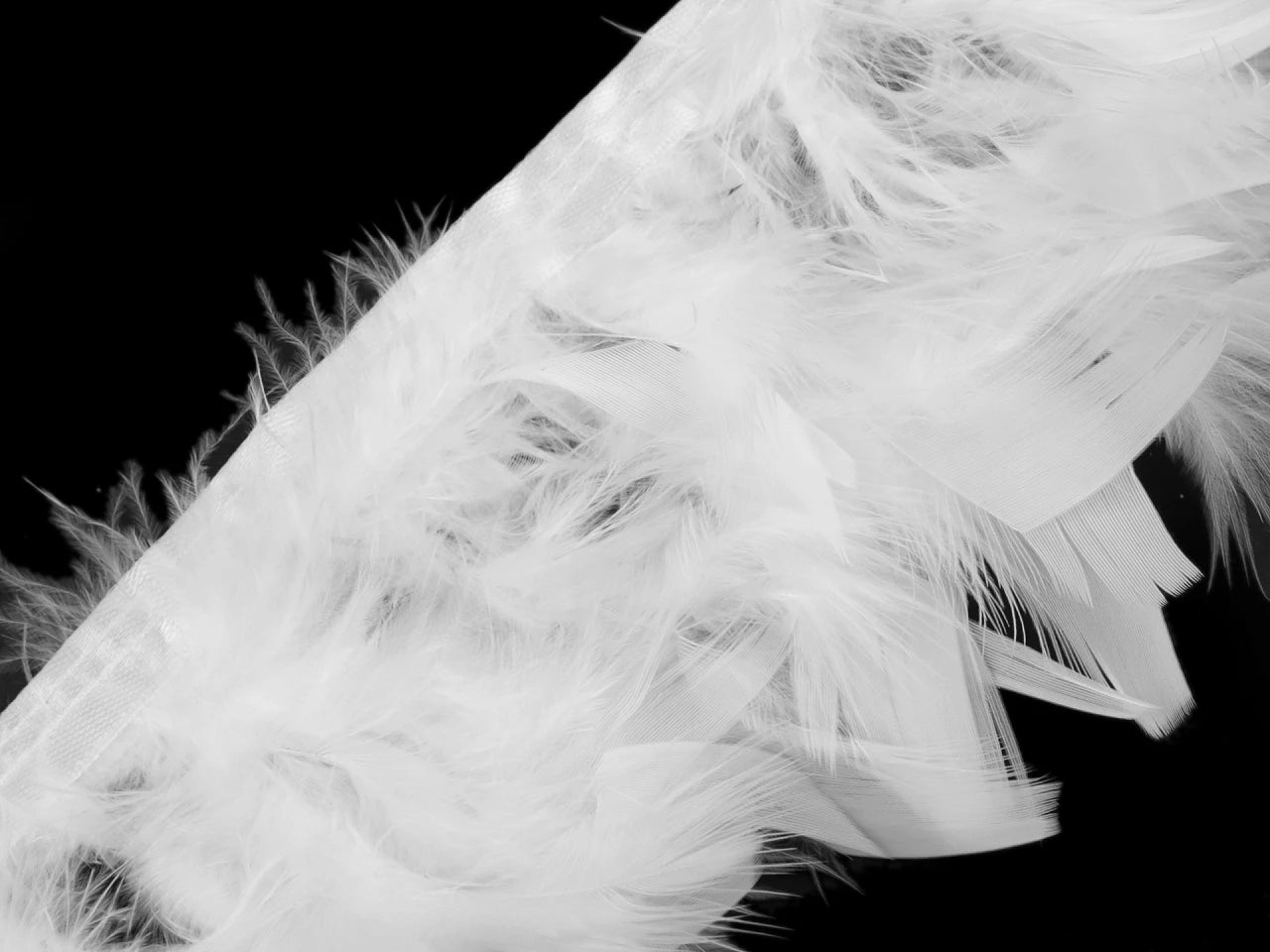 Turkey feather trim ribbon - white (50 cm pack)