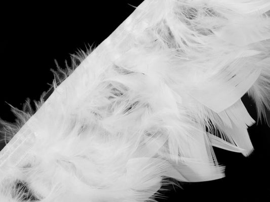 Turkey feather trim ribbon - white (50 cm pack)