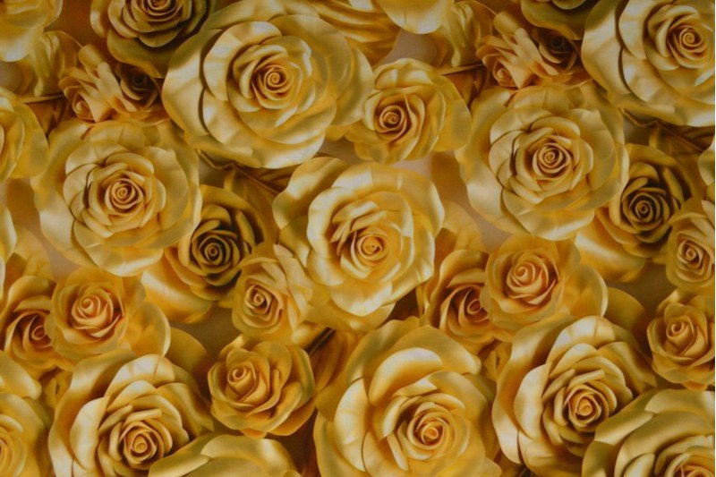 Viscose fabric - roses 100 g/m²