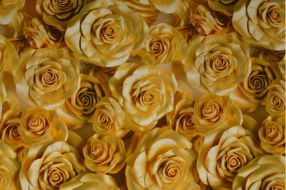Viscose fabric - roses 100 g/m²